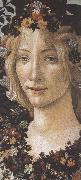 Sandro Botticelli Primavera (mk36) oil painting artist